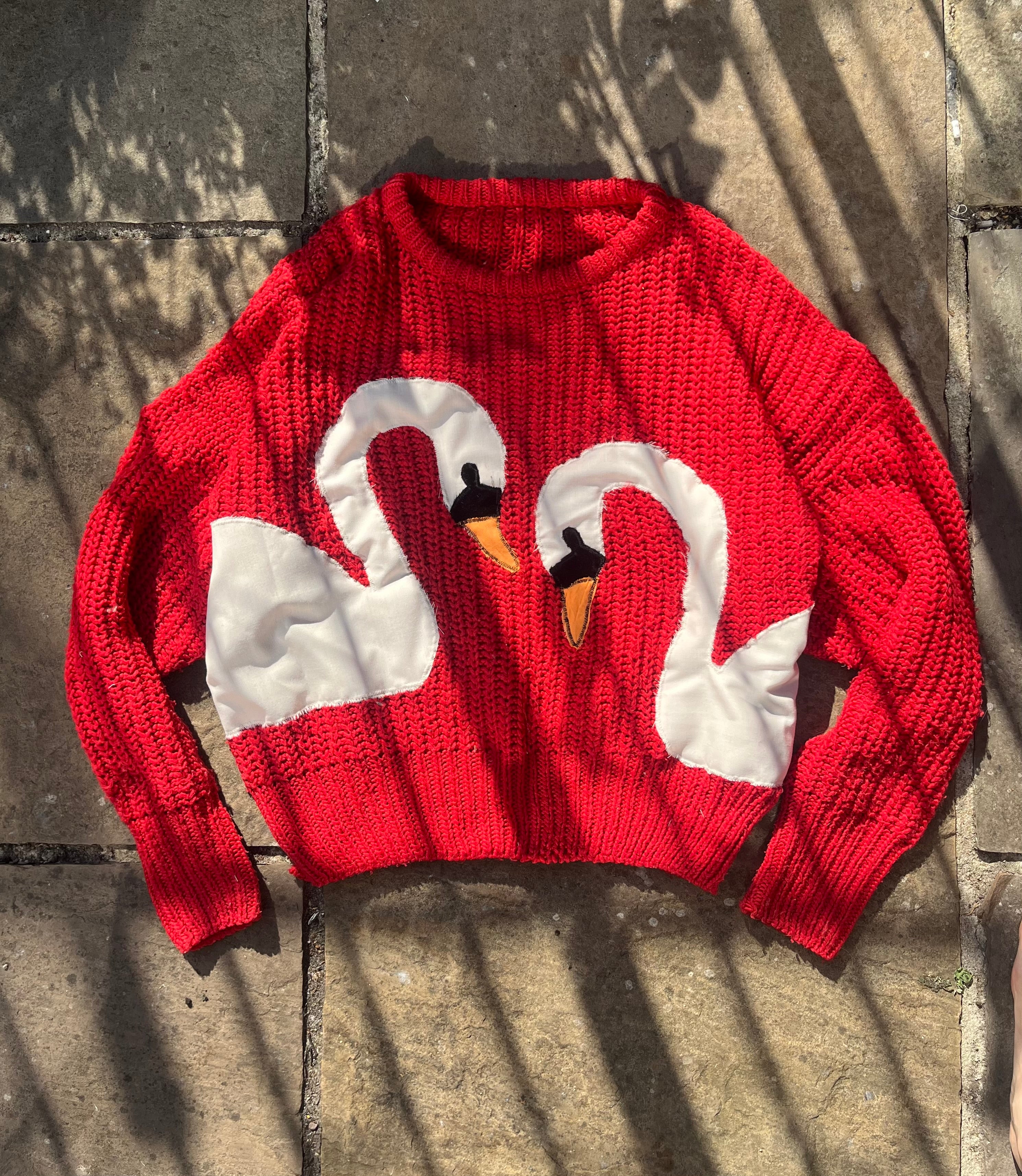 Swanning About Jumper