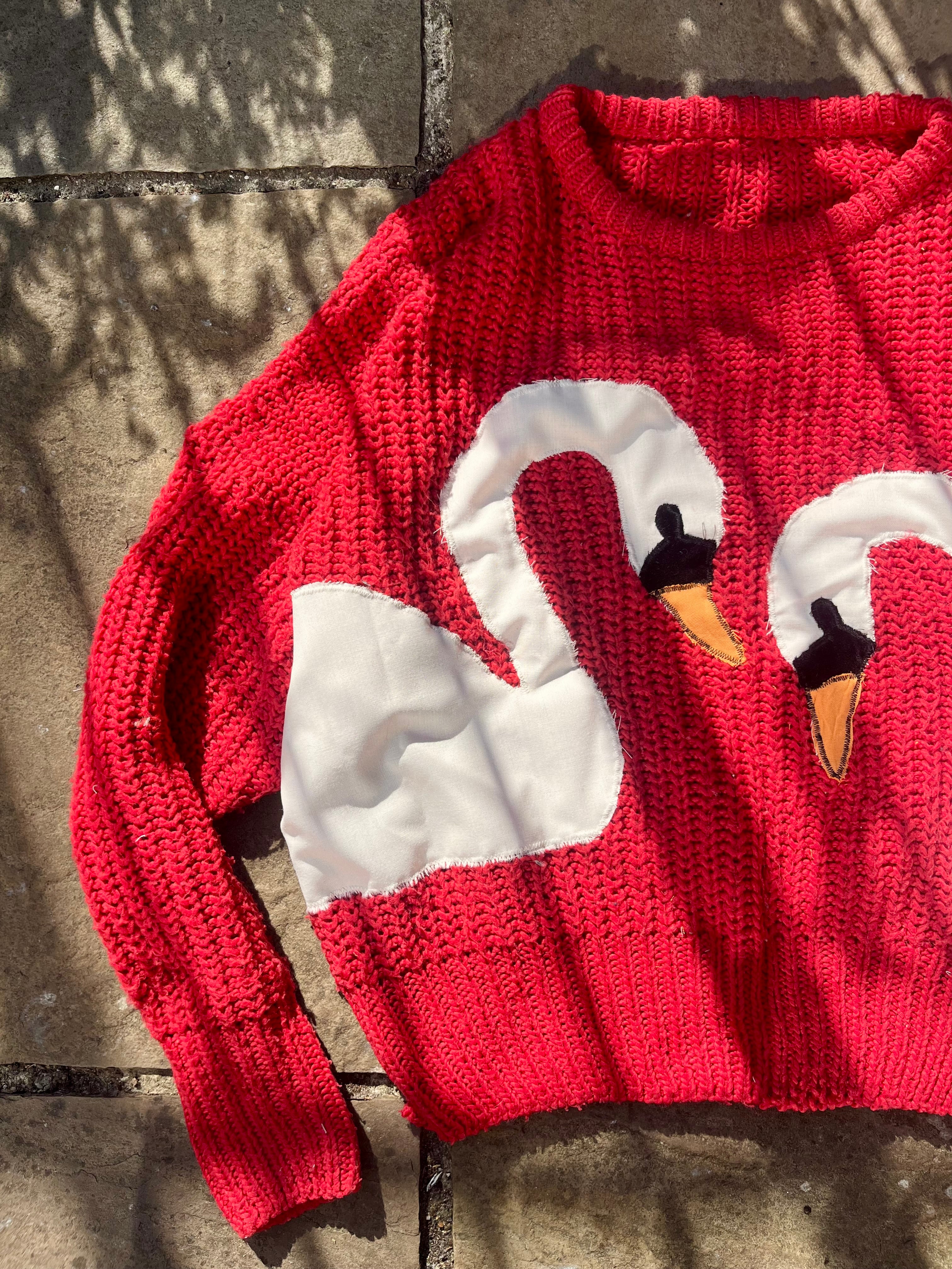 Swanning About Jumper
