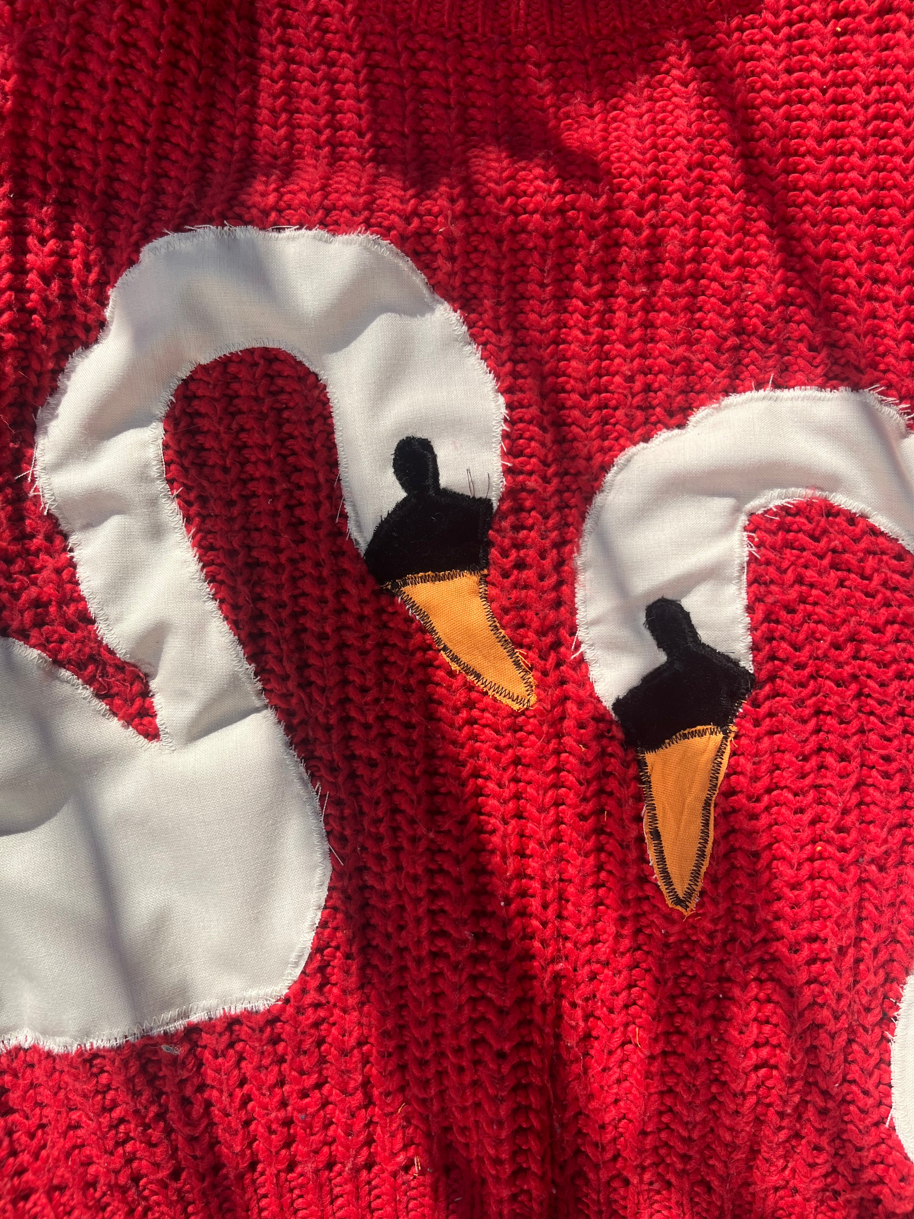 Swanning About Jumper